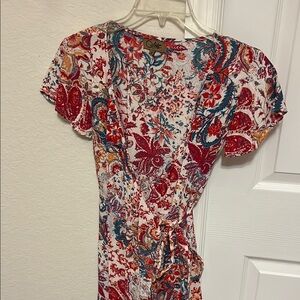 Coline Vintage Red and Blue Floral Wrap dress